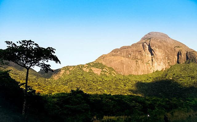 Top 10 Treks in Kerala