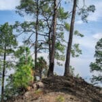 Binsar Wildlife Sanctuary, Almora