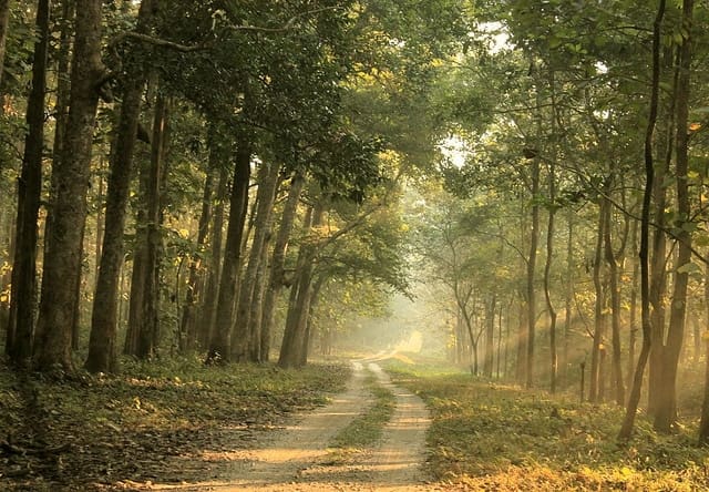 Top 5 Places To Visit In Siliguri