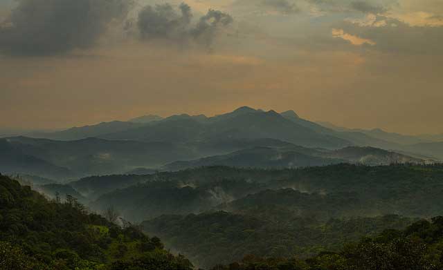A Complete Guide To Coorg Hill Station