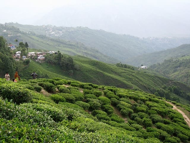 The Best Time to Visit Darjeeling