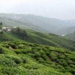 Hill Stations Near Kolkata