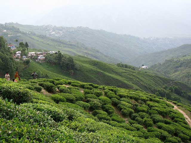 Hill Stations Near Kolkata