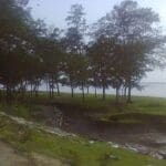 Top 10 Popular Picnic Spots in Kolkata: A Comprehensive Guide to Unforgettable Day Trips