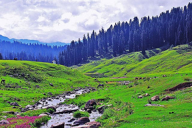 The Best Time to Visit Gulmarg