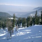 A Complete Tour Guide To Gulmarg Hill Station