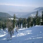 A Complete Tour Guide To Gulmarg Hill Station