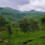 Top 5 Things to Do in Ooty