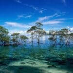 Top 10 Snorkeling Destinations in India