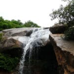 Silk Farm, Yelagiri: Unraveling the Beauty of Sericulture