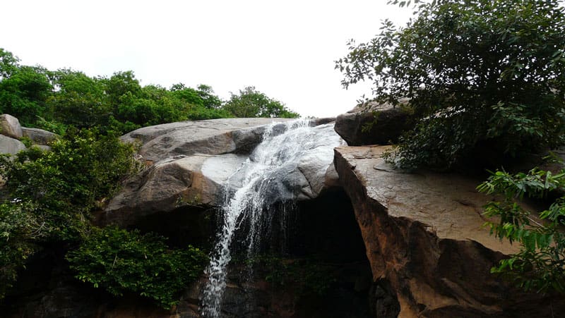 Silk Farm, Yelagiri: Unraveling the Beauty of Sericulture