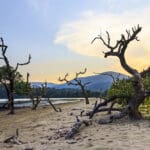 8 Best Places to Visit in Diglipur
