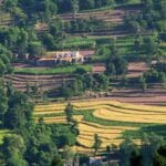 A Complete Tour Guide To Visit Kasauli Hill Station