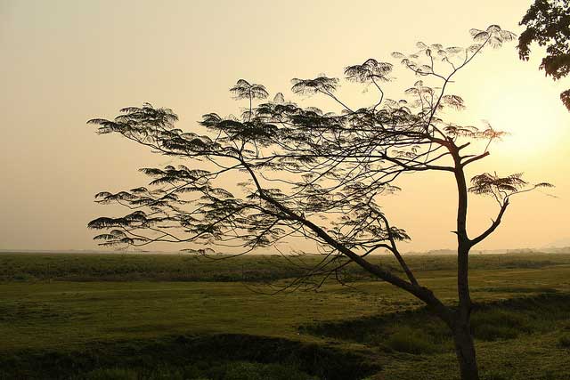 Top 5 Places To Visit In Bhalukpong