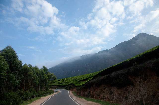 A Complete Tour Guide To Kodaikanal Hill Station
