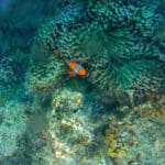 Wandoor And Mahatma Gandhi Marine National Park, Port Blair
