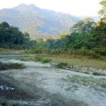 Manas National Park, Assam
