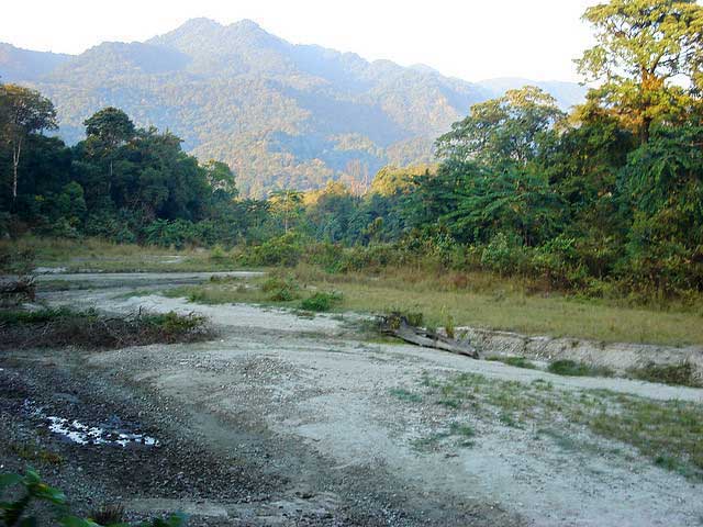 Manas National Park, Assam