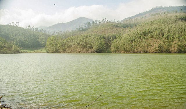Top 7 Places to Visit in Devikulam