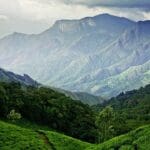 The Best Time to Visit Munnar