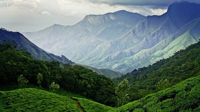 The Best Time to Visit Munnar