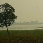 Nagarahole National Park, Coorg