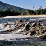 Top 5 National Parks in Arunachal Pradesh