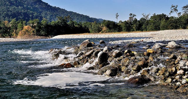 Top 5 National Parks in Arunachal Pradesh