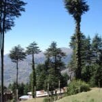 The Best Time to Visit Patnitop