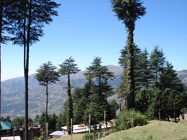 The Best Time to Visit Patnitop