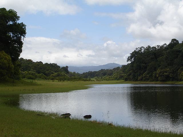Periyar Wildlife Sanctuary, Kerala