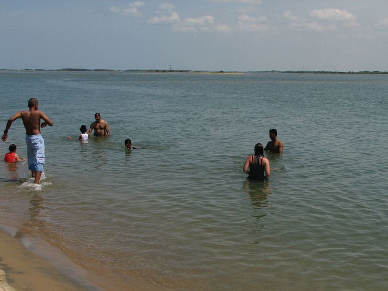 Pulicat Lake, Chennai