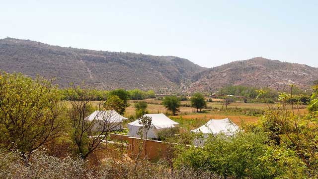 National Parks in Rajasthan