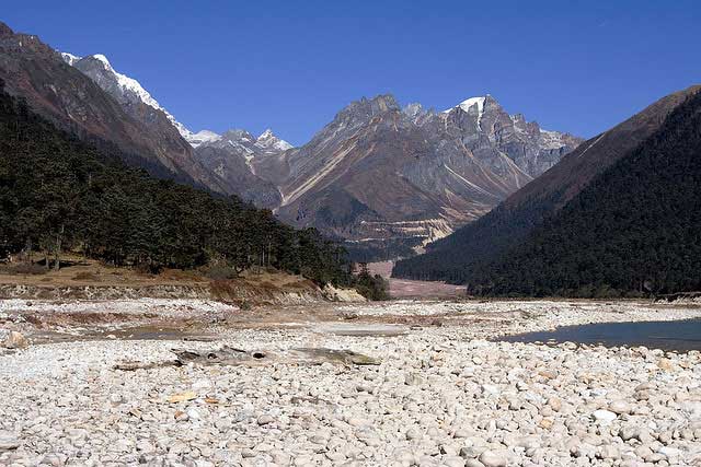 Shingba Rhododendron Sanctuary, Gangtok: A Floral Paradise