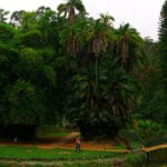 Top 10 Places To Visit In Coonoor