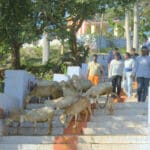Velevan Temple: A Spiritual Haven in Yelagiri