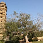 Vijay Stambh, Chittorgarh