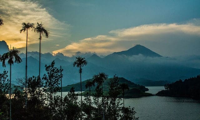 The Best Time to Visit Wayanad