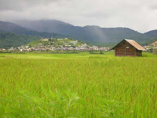Top 12 Places To Visit In Ziro Valley